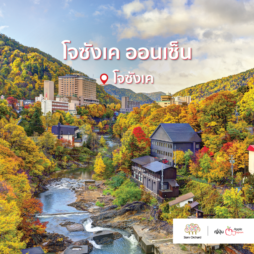 #SiamOrchardGroup #ผู้ช่วยที่ดีที่สุดด้านการท่องเที่ยว #AppleJapan #Autumn #จุดชมใบไม้เปลี่ยนสีที่ฮอกไกโด #ทัวร์ญี่ปุ่น #ทัวร์ใบไม้เปลี่ยนสี