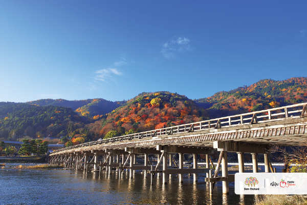 นั่งรถไฟสายโรแมนติก..สัมผัสความสวยงามช่วงใบไม้เปลี่ยนสีที่อาราชิยาม่า