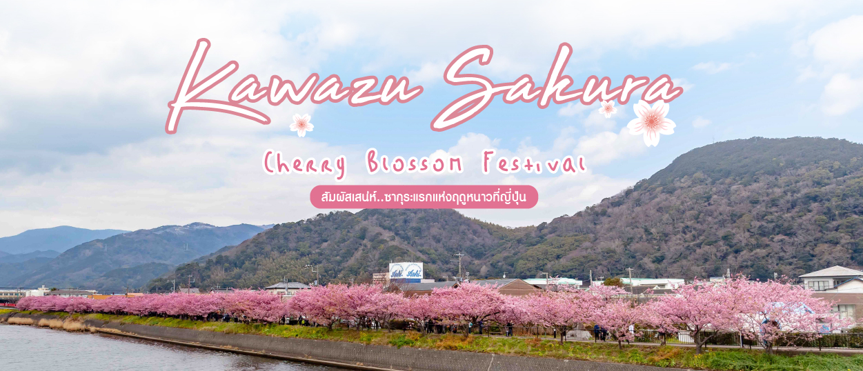 ทัวร์ญี่ปุ่น Kawazu Sakura สัมผัสเสน่ห์...ซากุระแห่งแรกแห่งฤดูหนาวญี่ปุ่น