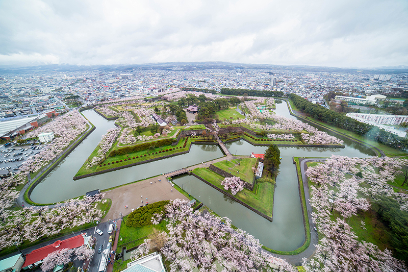 Cherry Blossom Hakodate Garden Near Goryokaku Tower .