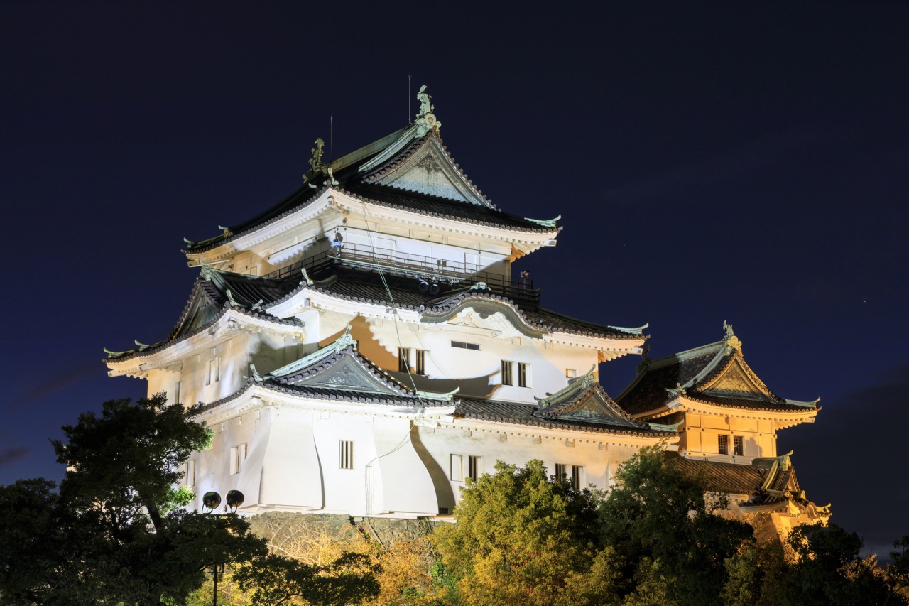Wakayama Castle